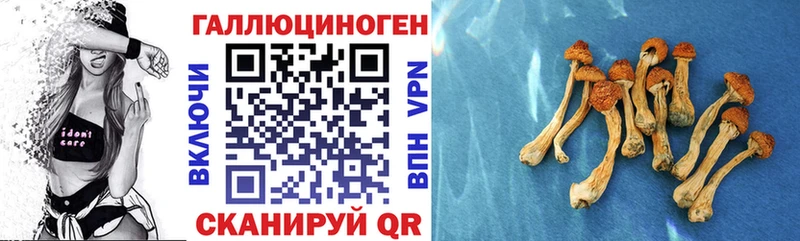 что такое наркотик  omg ССЫЛКА  Галлюциногенные грибы MAGIC MUSHROOMS  Южно-Сухокумск 